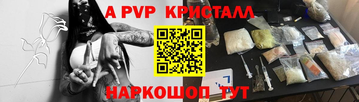 A-PVP СК Елизово