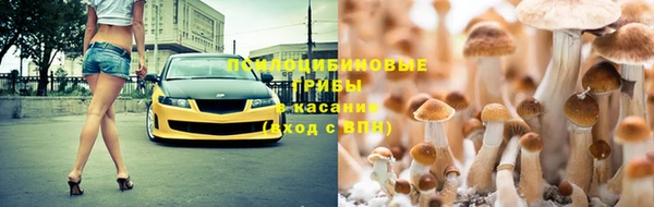 соль курить ск Надым