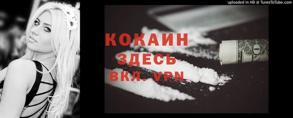 индика Алзамай