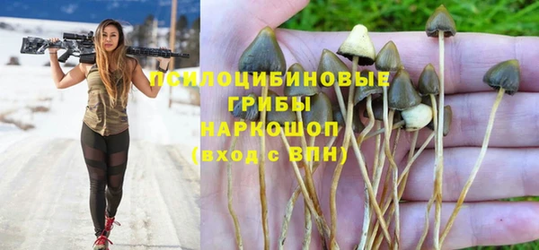 шишки Гусиноозёрск