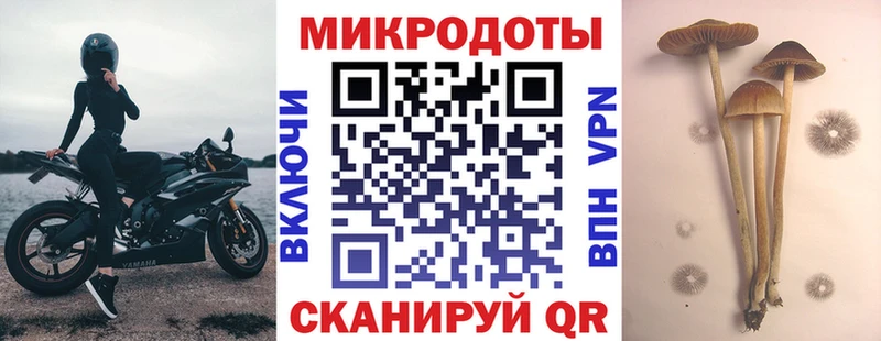Галлюциногенные грибы Psilocybe дарк нет официальный сайт Елизово