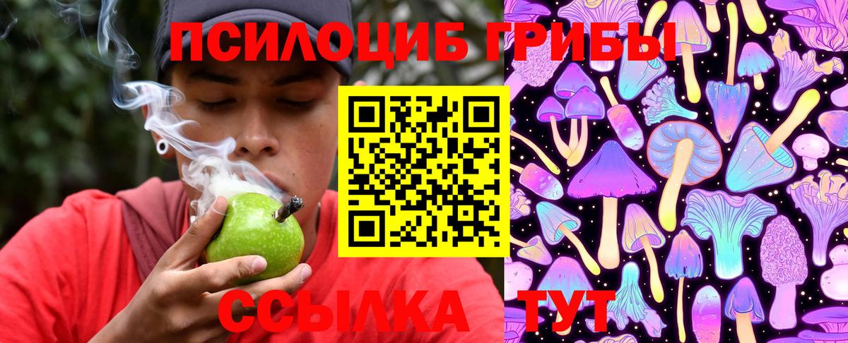 Галлюциногенные грибы GOLDEN TEACHER Елизово