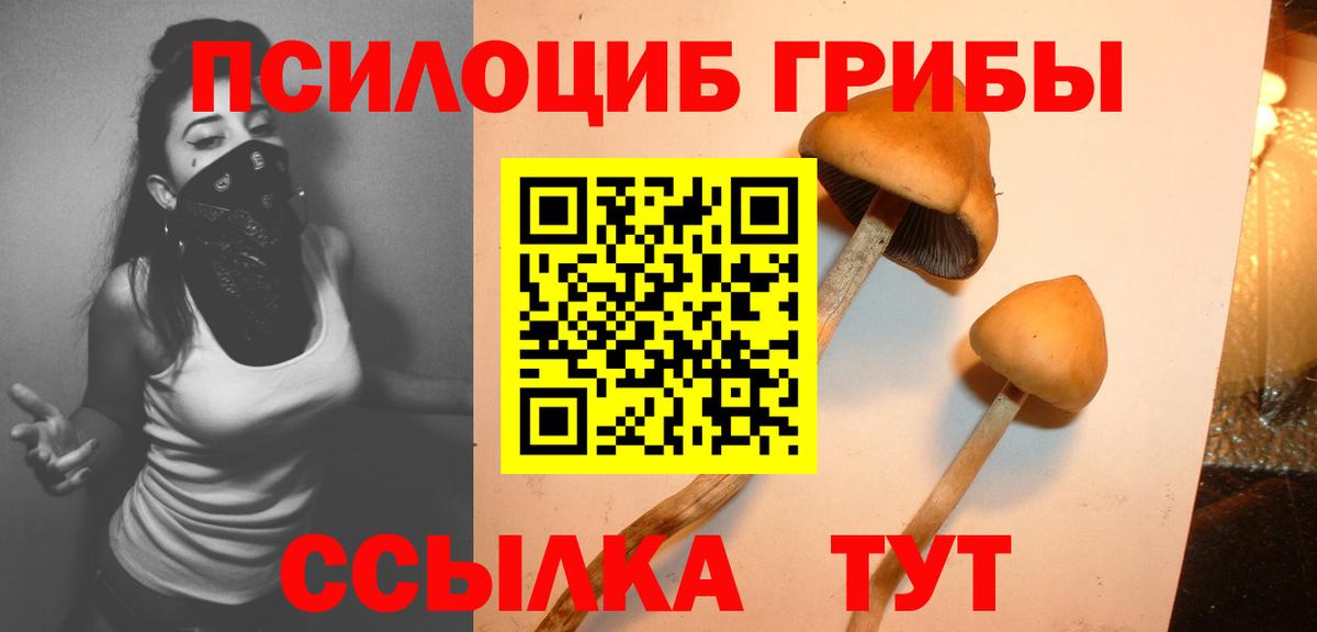 Псилоцибиновые грибы Psilocybe  Вход с VPN  Елизово 