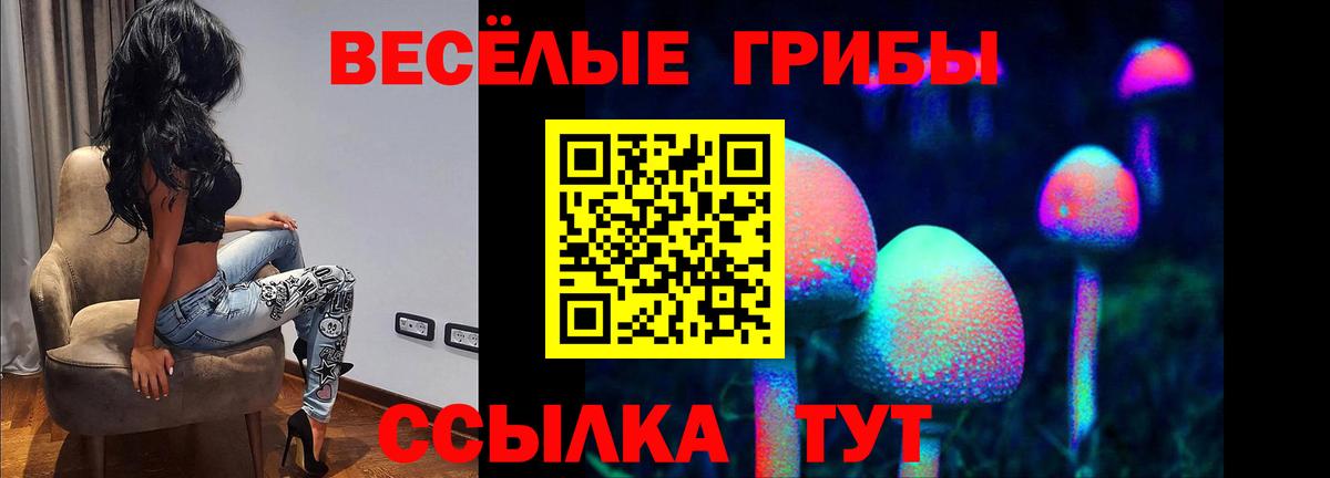 Псилоцибиновые грибы ЛСД  Елизово 