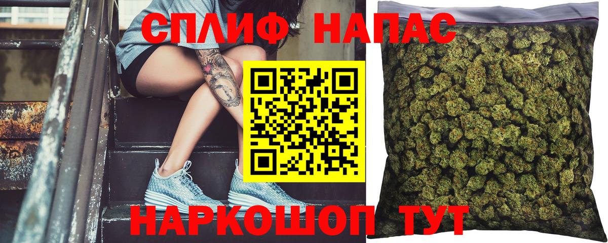 Шишки марихуана семена Елизово